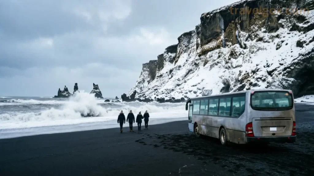 Reynisfjara beach winter